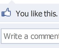 Facebook Like